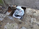 FIELD OIL PLUS IV - combineerbaar met Unigate Inverter