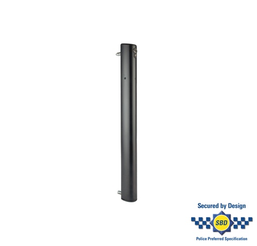 [P00014145-9005] Gemotoriseerde grondgrendel met voeding - Zwart - Locinox