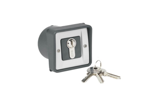 [AU01920] SLEUTELSCHAKELAAR MET EURO CILINDER-Ø 60 MM-INBOUW-IP54